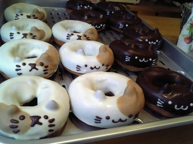 Donuts gatinhos