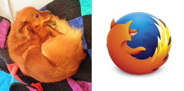 13 - O emblema do Firefox poderia ser cão ...