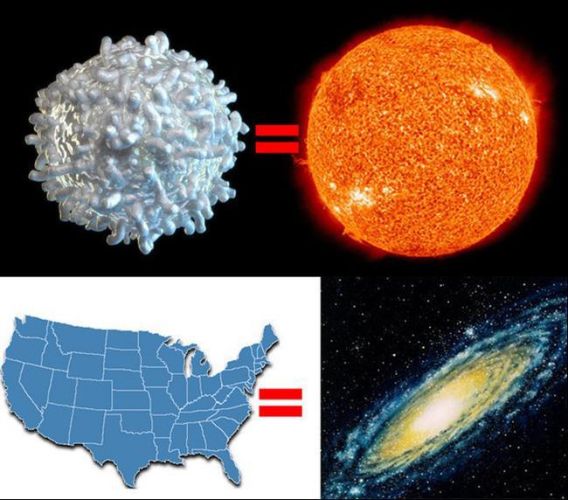 19 – Mas nada disso se compara ao tamanho de uma galáxia. Se reduzir o sol ao tamanho de um glóbulo branco e reduzir a Via Láctea usando a mesma escala, o tamanho da Via Láctea seria equivalente aos Estados das América do Norte