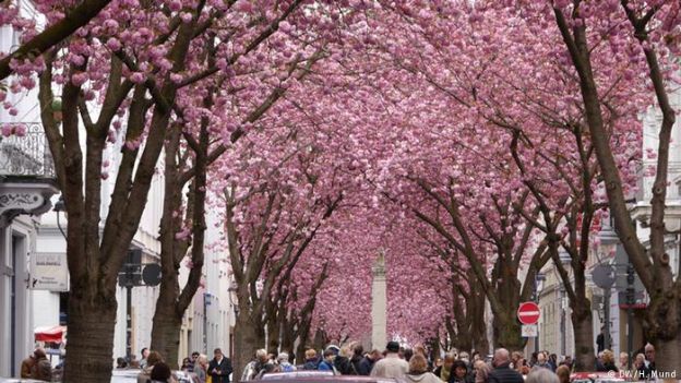 Rua Heerstrasse, em Bonn, na Alemanha