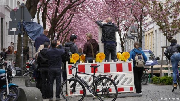 Rua Heerstrasse, em Bonn, na Alemanha