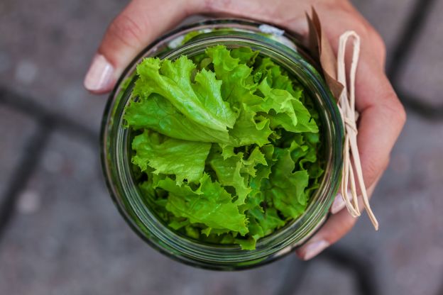 Salada verde