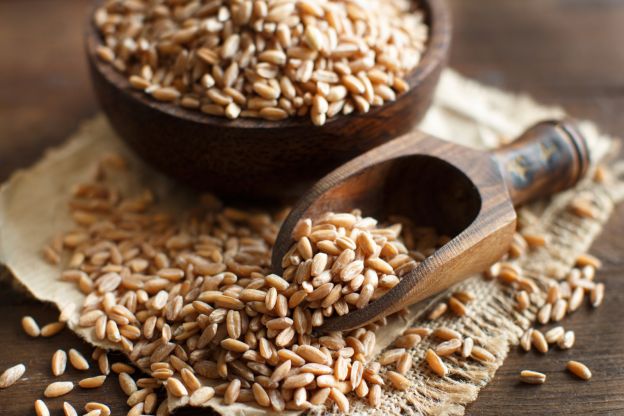 Farro (espelta)