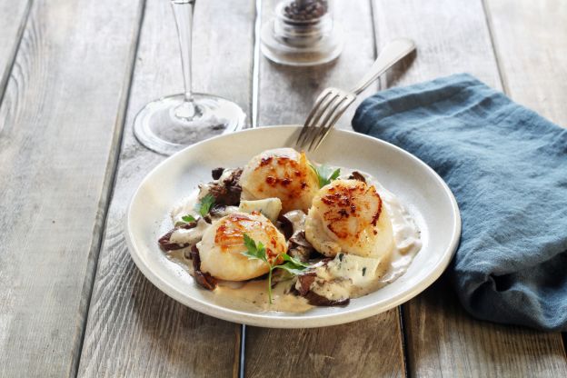 Vieiras em cama de cogumelos porcini e gorgonzola