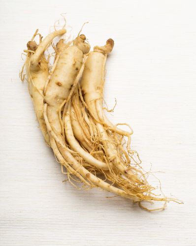 Ginseng