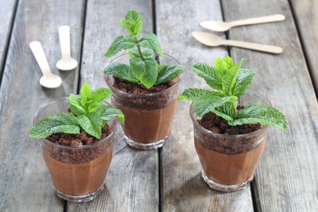 Vasinhos de mousse de chocolate com hortelã