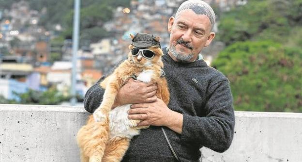 Gato Chiquinho