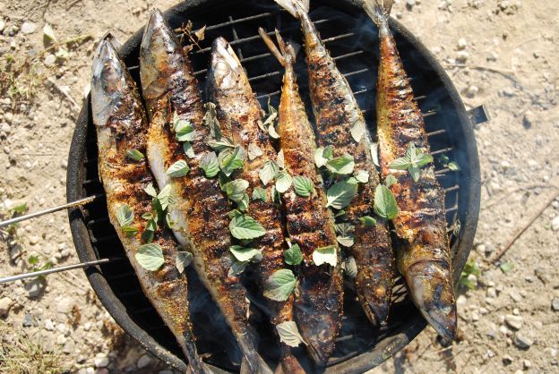 Peixes