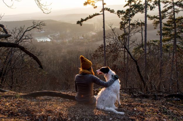 Passeamos menos com o cachorro