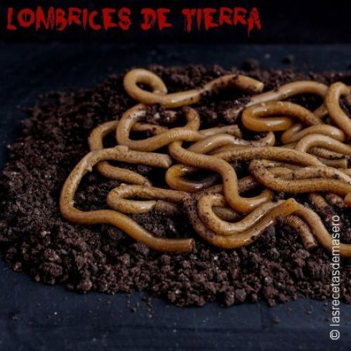 LOMBRIgas Da TERRA