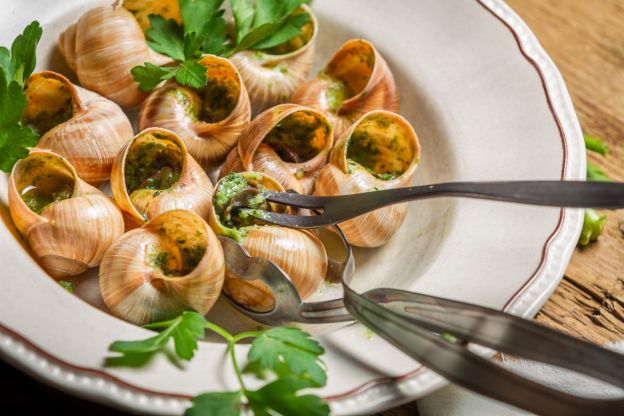 Escargots da Borgonha - França