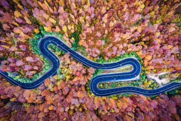 A rica floresta, Roménia