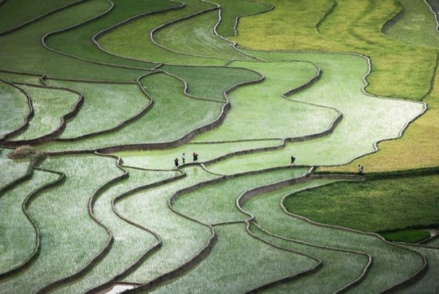 07. Campos de Arroz da China