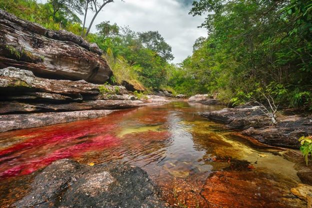 Rio Caño Cristales