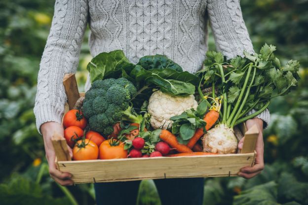 Os alimentos comprados diretamente no agricultor são mais saudáveis