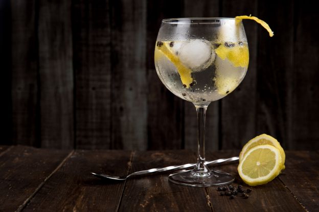 Gin Tônica / Gin com especiarias