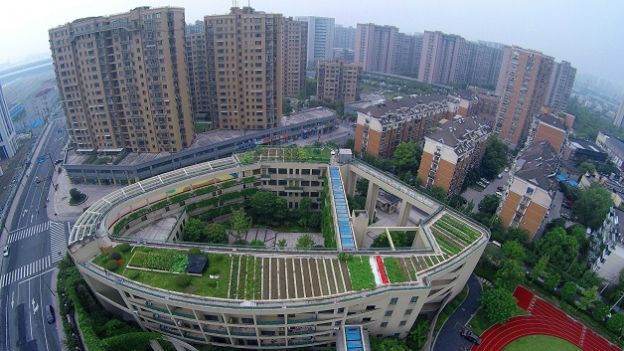 4. VISTA AÉREA DA HORTA URBANA CULTIVADA POR ESCOLA CHINESA