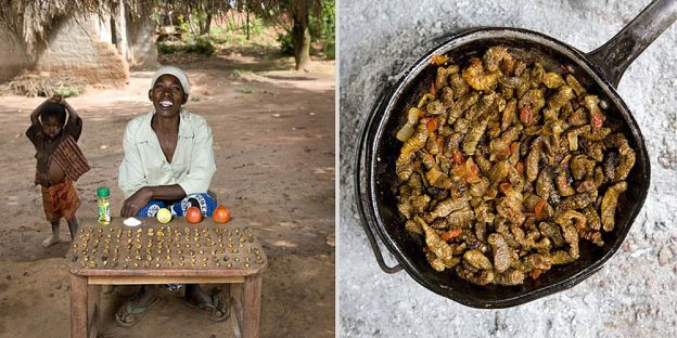 Malawi - Finkubala