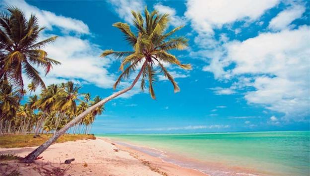 Praia do Patacho, Alagoas