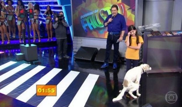 4 - O cachorro decidiu que era hora de soltar uma mercadoria no palco...