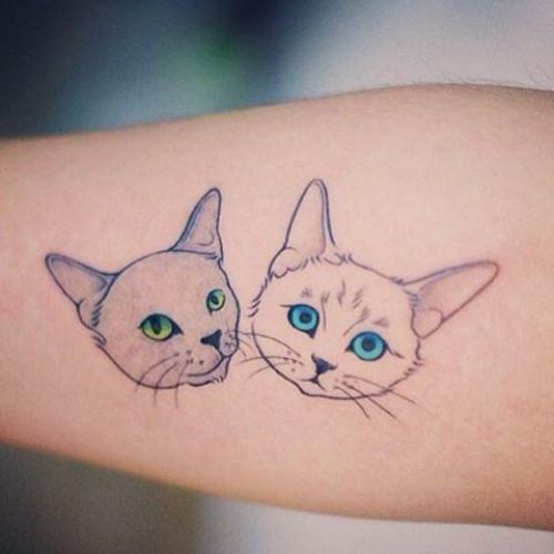 17. Tatuagem de gato