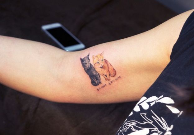 11. Tatuagem de gato