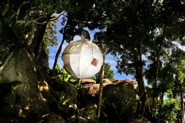 Cocoon Tree por Berni Du Payrat, da França