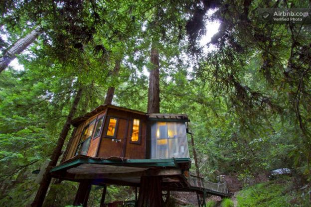 Redwood Treehouse Santa Cruz