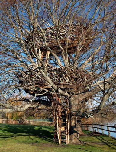 Lake Nest Tree House, por Roderick Wolgamott Romero