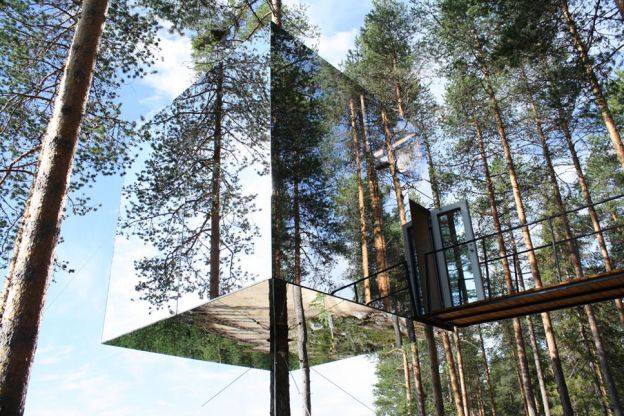 Tree Hotel