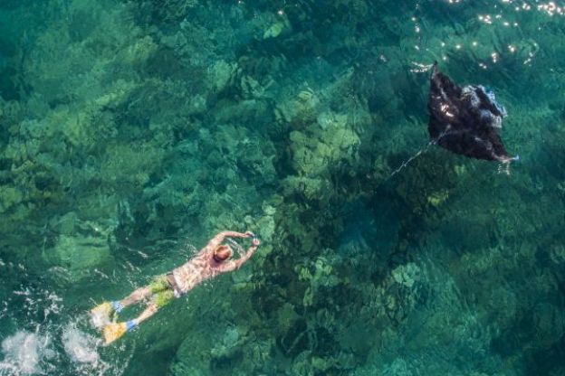 Mergulhador perseguindo arraia, Fiji, Ilhas Yasawa